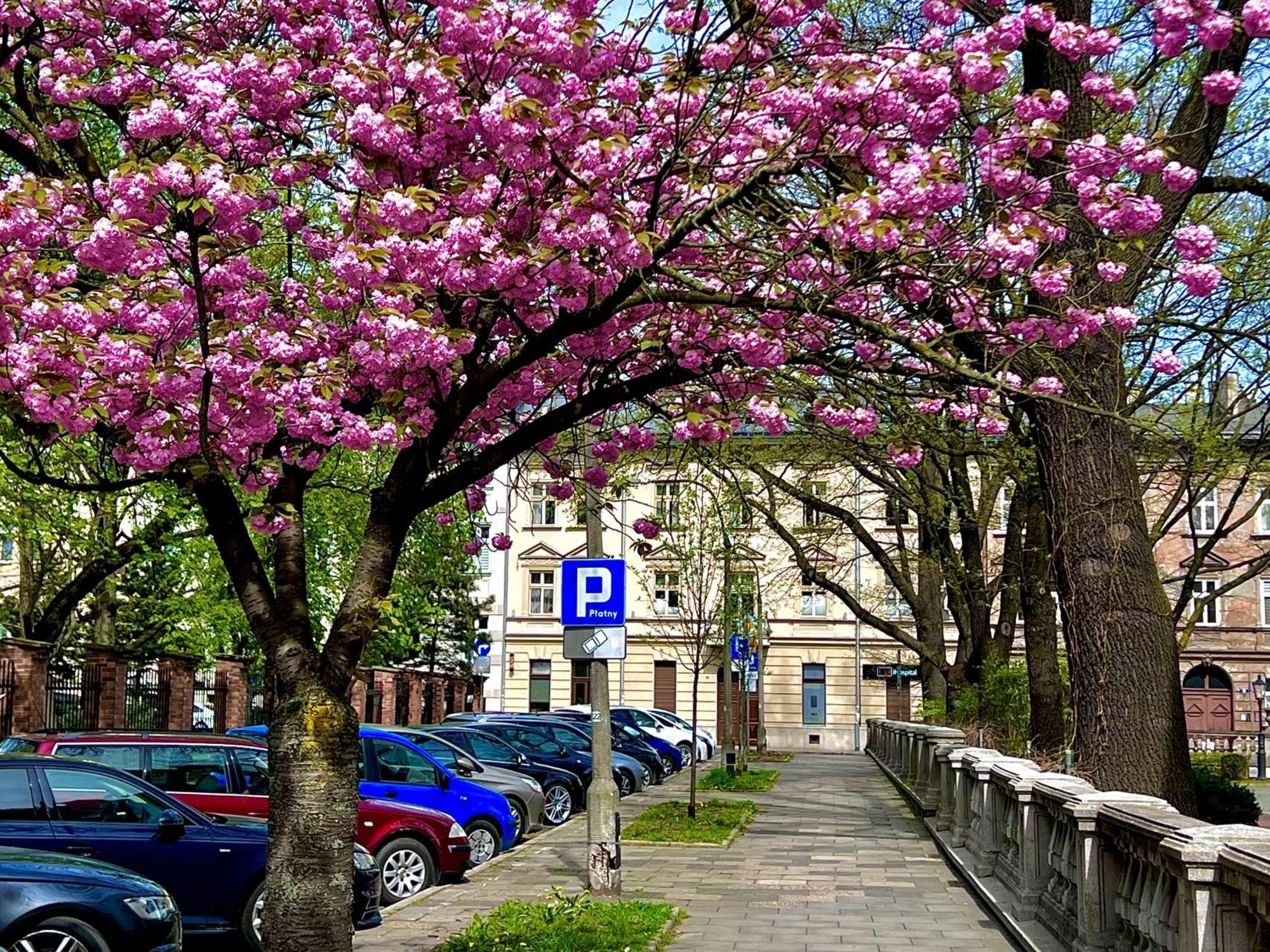 Appartement Krakow Central Apartments *